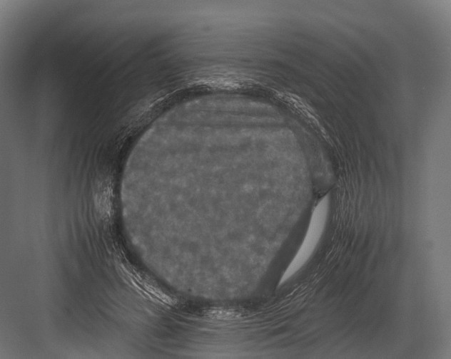 X0000081590596200702121516