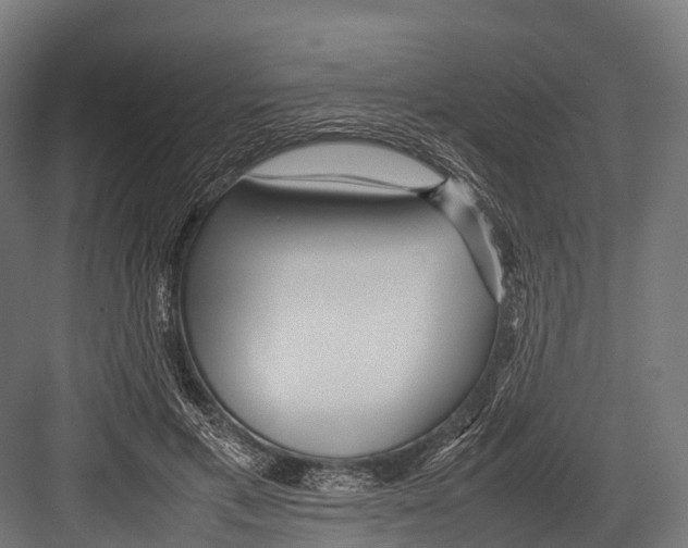 X0000081590597200702121516