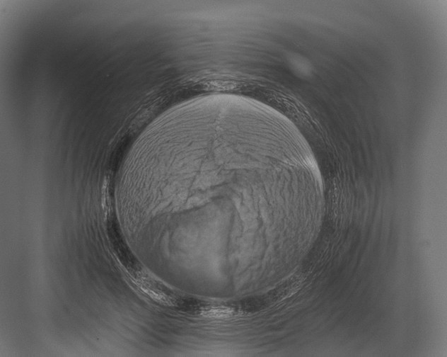 X0000081590598200702121516