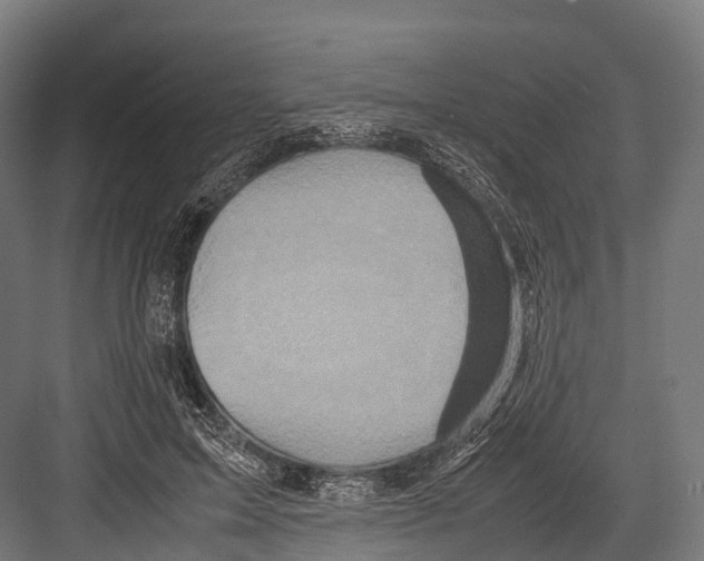 X0000081590599200702121516