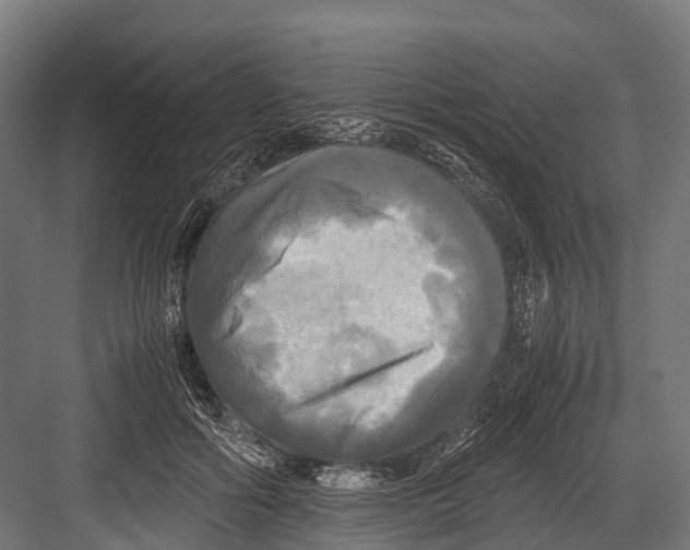 X0000081590602200702121516