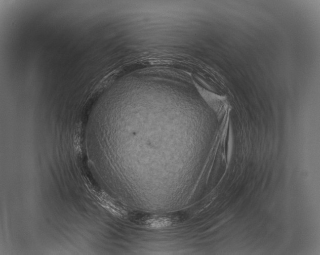 X0000081590604200702121516