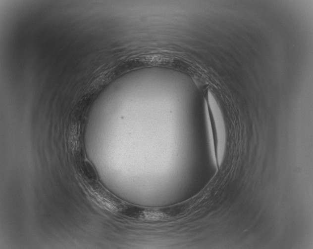 X0000081590605200702121516