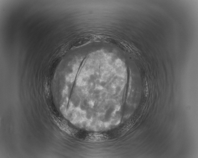 X0000081590607200702121516