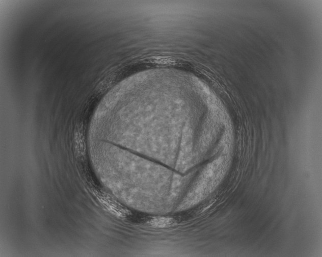 X0000081590609200702121516