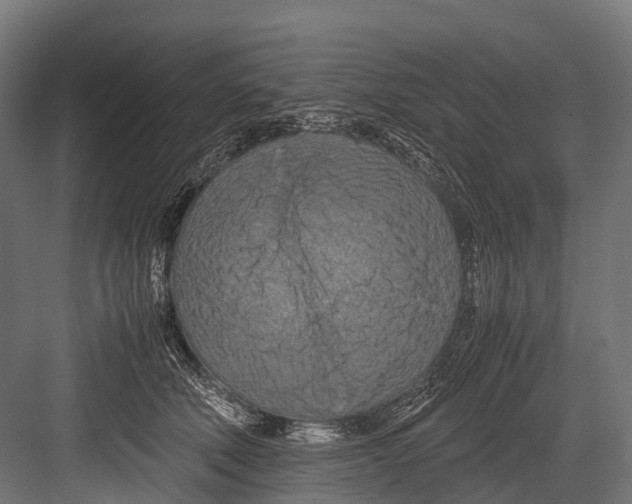 X0000081590610200702121516