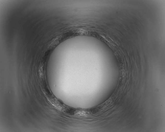 X0000081590611200702121516