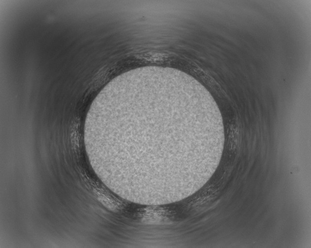 X0000081590612200702121516