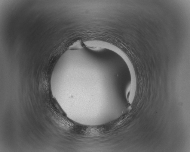 X0000081590613200702121516