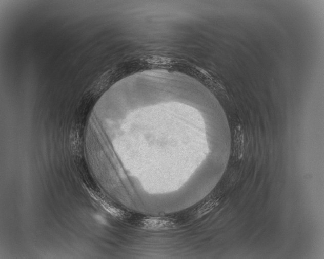 X0000081590614200702121516