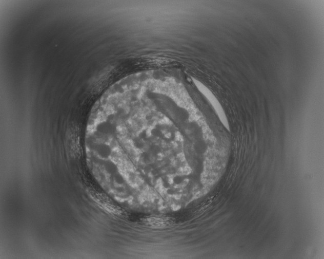 X0000081590615200702121516