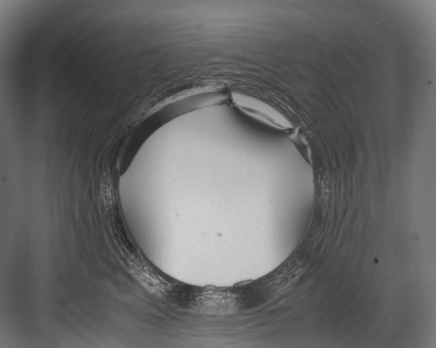 X0000081590617200702121516