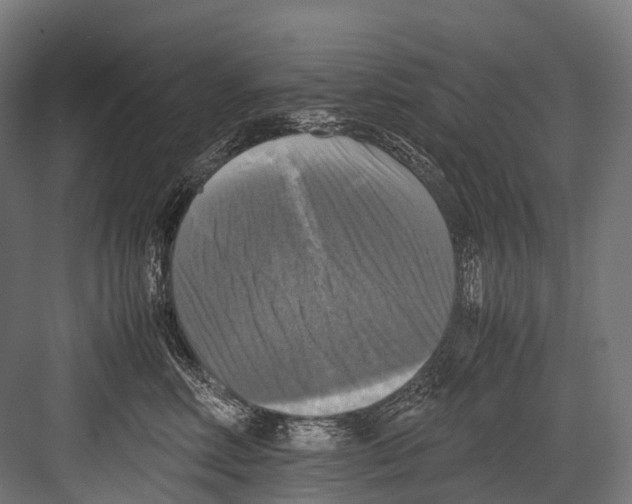 X0000081590618200702121516