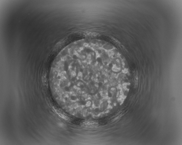 X0000081590619200702121516