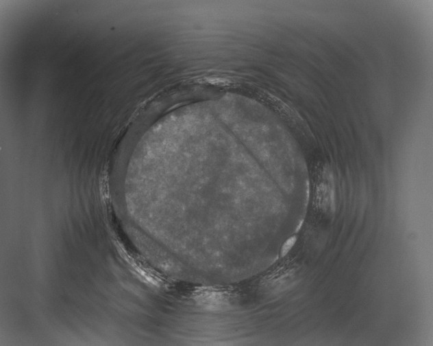 X0000081590620200702121516