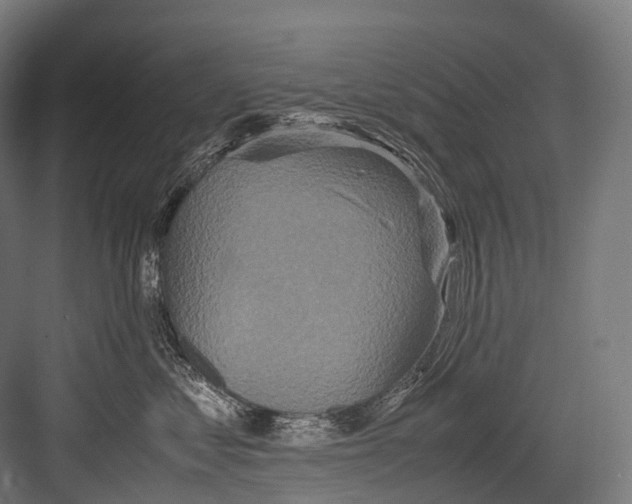 X0000081590621200702121516