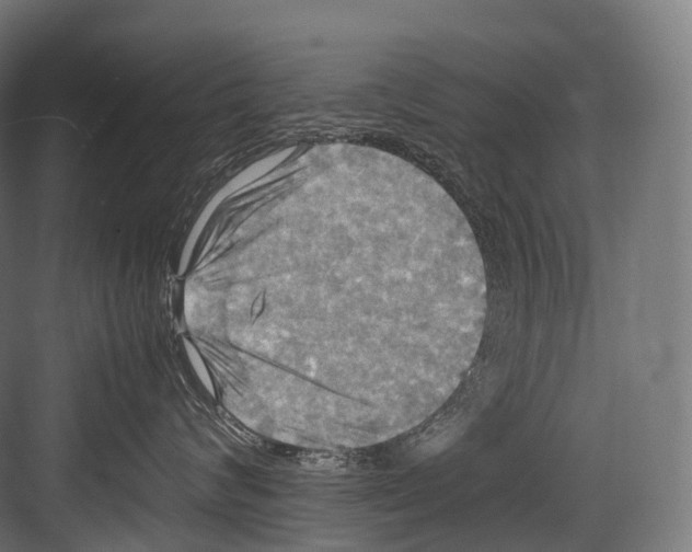 X0000081590624200702121515