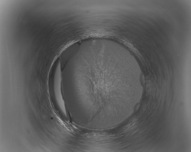 X0000081590626200702121515