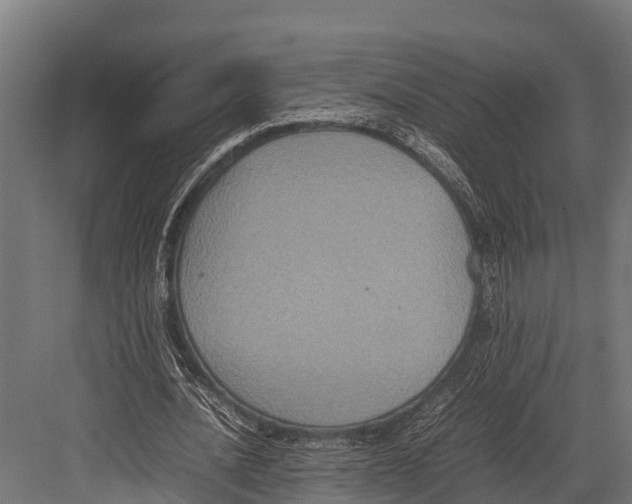 X0000081590628200702121515