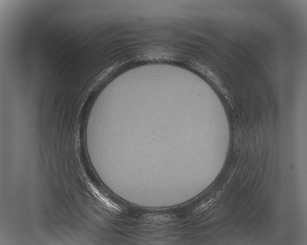 X0000081590629200702121515