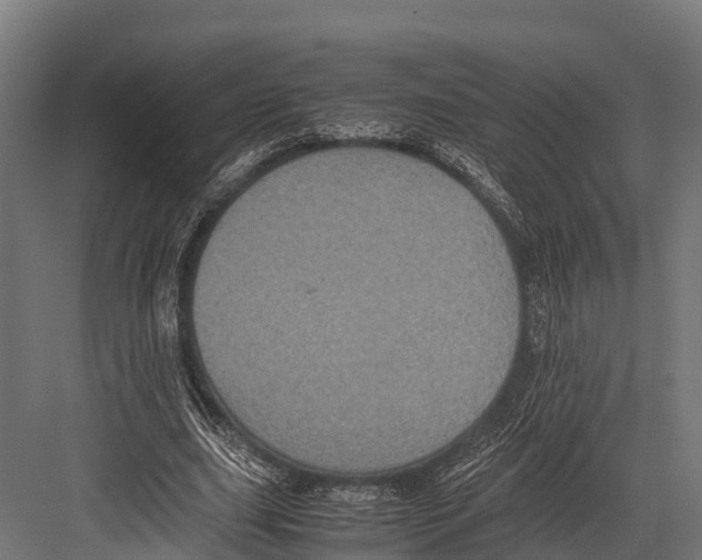 X0000081590631200702121515