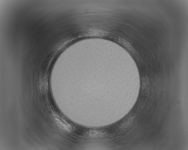 X0000081590632200702121515