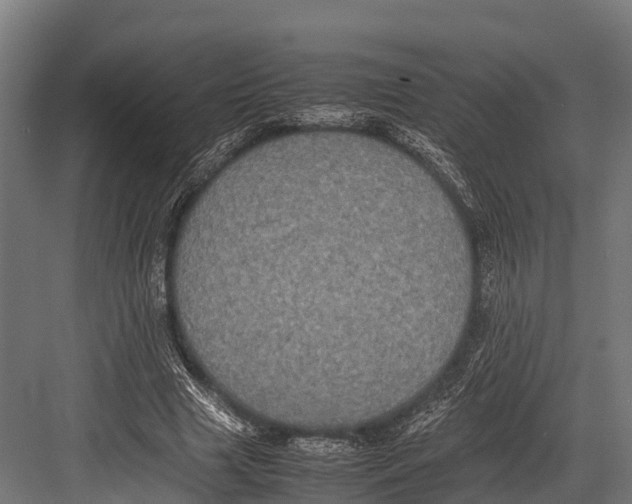 X0000081590633200702121515