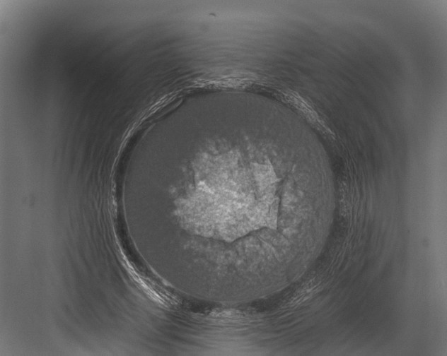 X0000081590634200702121515