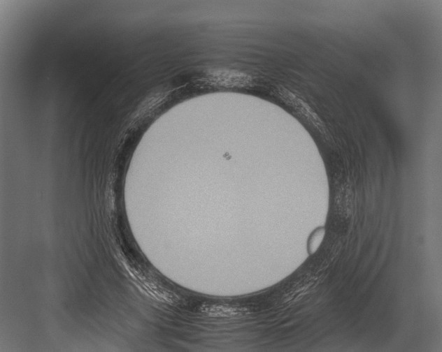 X0000081590635200702121515