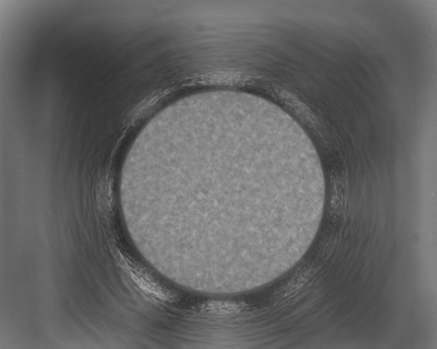 X0000081590636200702121515