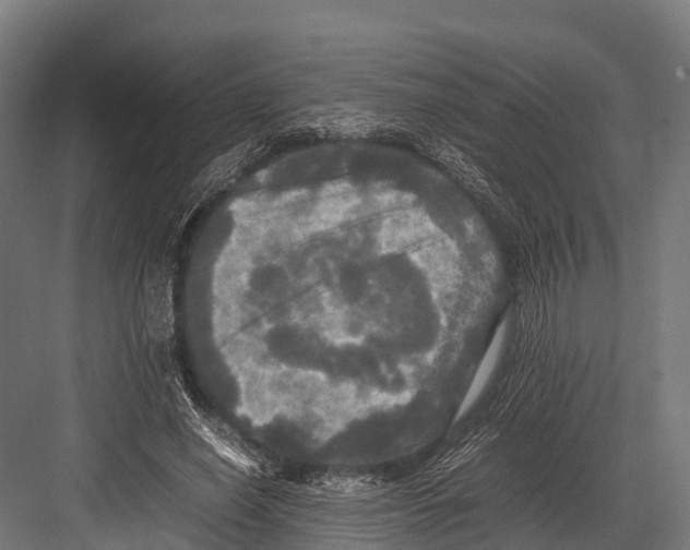 X0000081590638200702121515