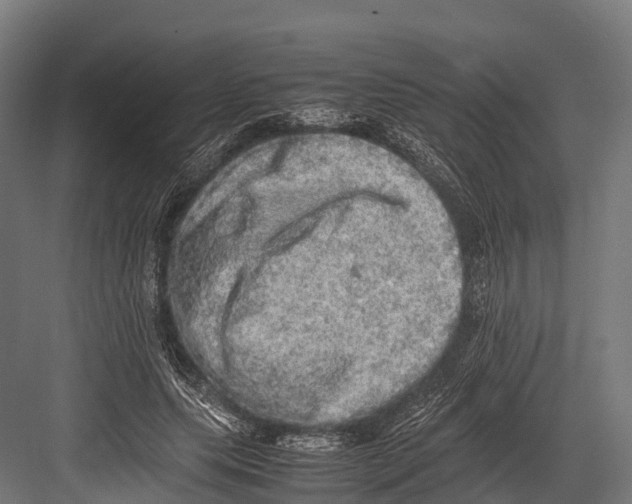 X0000081590639200702121515