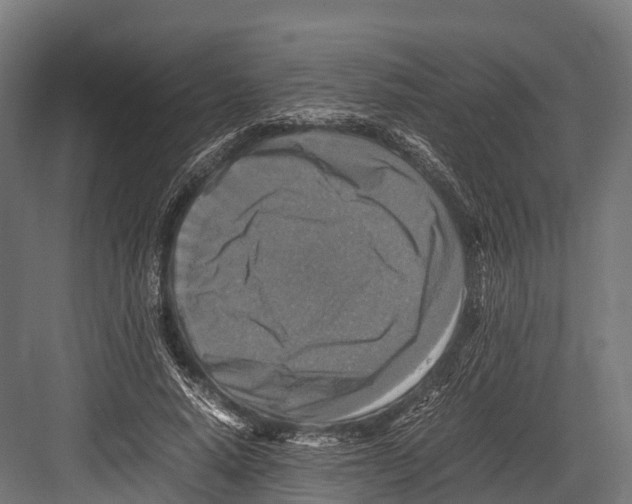 X0000081590640200702121515