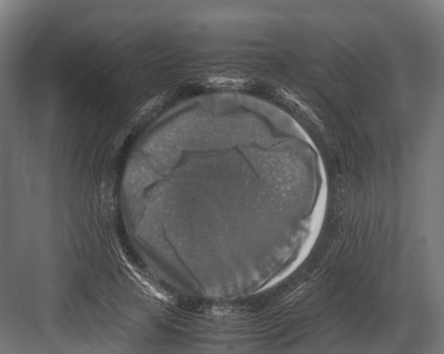 X0000081590641200702121515