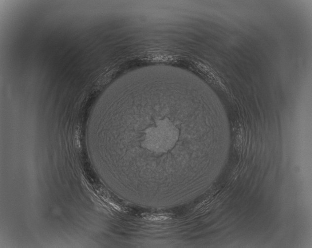 X0000081590643200702121515