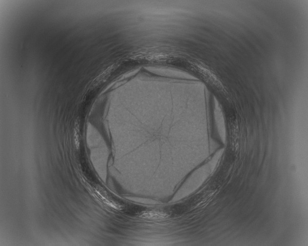 X0000081590644200702121515