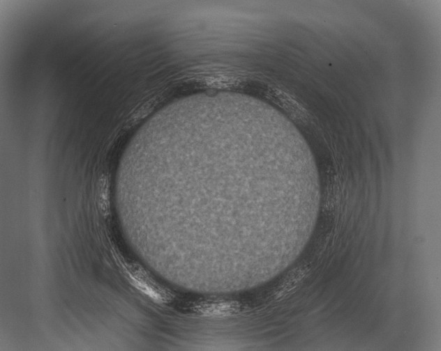 X0000081590646200702121515