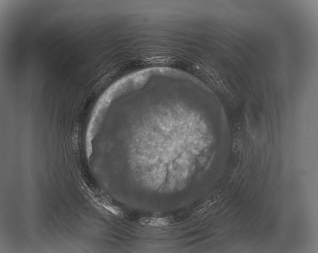 X0000081590647200702121515