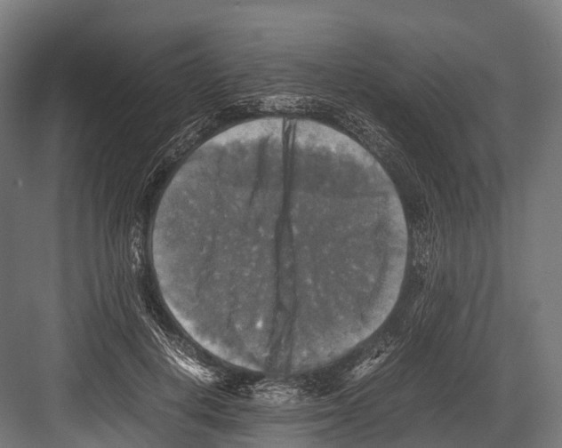 X0000081590648200702121515