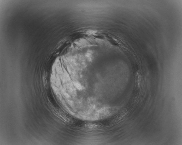 X0000081590650200702121515