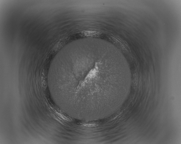 X0000081590653200702121515