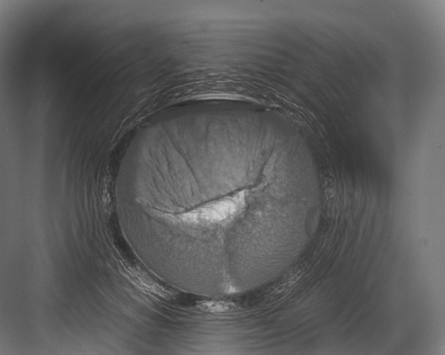 X0000081590654200702121515