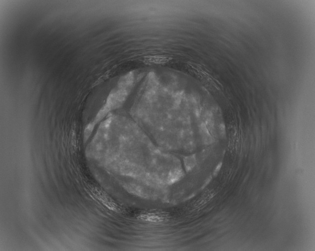 X0000081590655200702121515