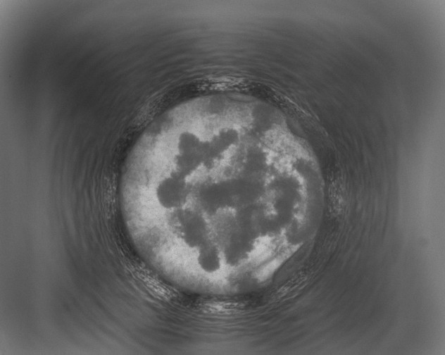 X0000081590657200702121515