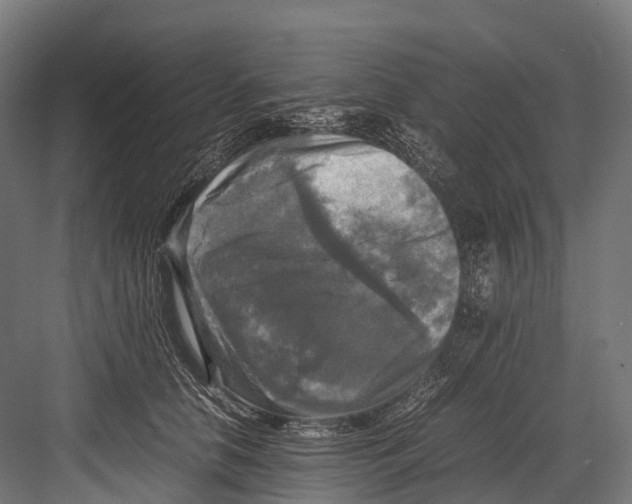 X0000081590658200702121515