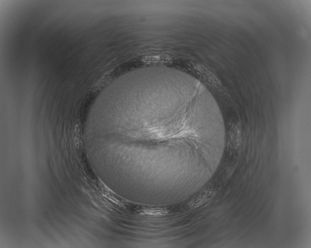 X0000081590659200702121515