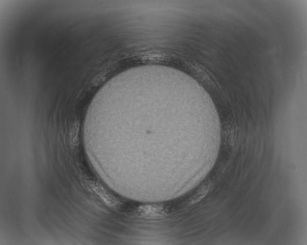 X0000081590660200702121515