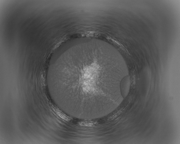 X0000081590661200702121515