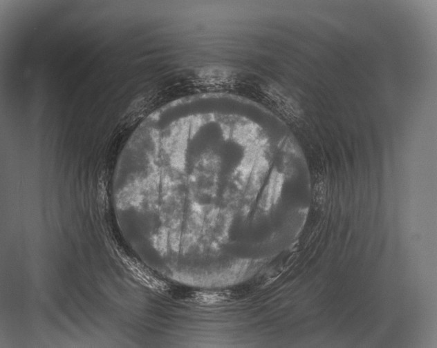 X0000081590662200702121515