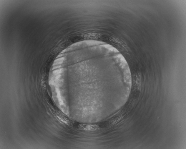 X0000081590663200702121515